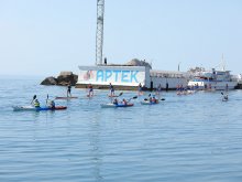 img (17)